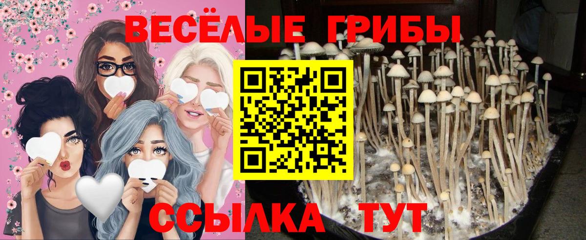 Галлюциногенные грибы Magic Shrooms  Вход с VPN  Кстово 
